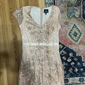 Adrianna PAPELL Gown Sz 8